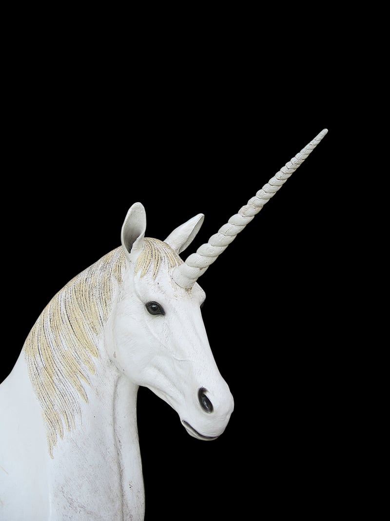 Unicorn Fantasy Decor